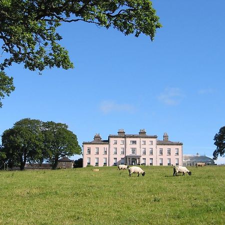 Longueville House Ξενοδοχείο Mallow Εξωτερικό φωτογραφία